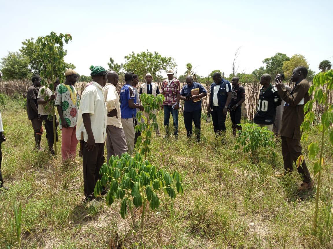 ONG_Amedd's tweet photo. Mission de suivi des activités réalisées dans le cadre du #projetP2REF dans les villages de #Nitiorosso et #Sorobasso. Le projet est financé par le #FondClimatMali et mise en œuvre par le consortium #AMEDD #SahelEco parrainé par le #PAM.
 #Impacts2023 https://t.co/IdGhLW56WW