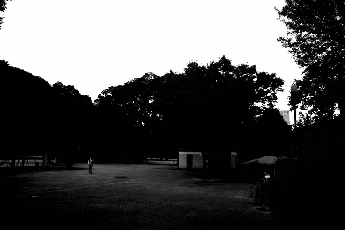 akano_naoki's tweet photo. #steetsnap #tokyo #black_and_white #photography #GR3
Toyama Park, Shinjuku, Tokyo https://t.co/86RPwS3XnV