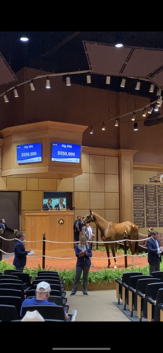 BH_CMcCroskey's tweet photo. 2022 Miss Grillo Stakes (G2T) runner- up #FreeLook went to @BlueDiamondStd for $550,000 at the @FasigTiptonCo Horses of Racing Age Sale🌟 Consigned as Hip 596 by @EliteRaceSales https://t.co/AfppnbMqmZ