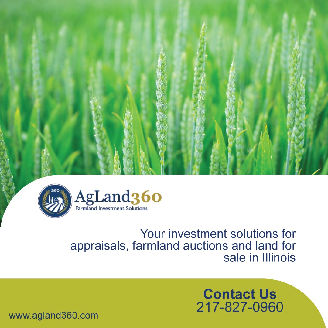 We are here 24/7 to assist you with your  buying and selling needs from start to finish.