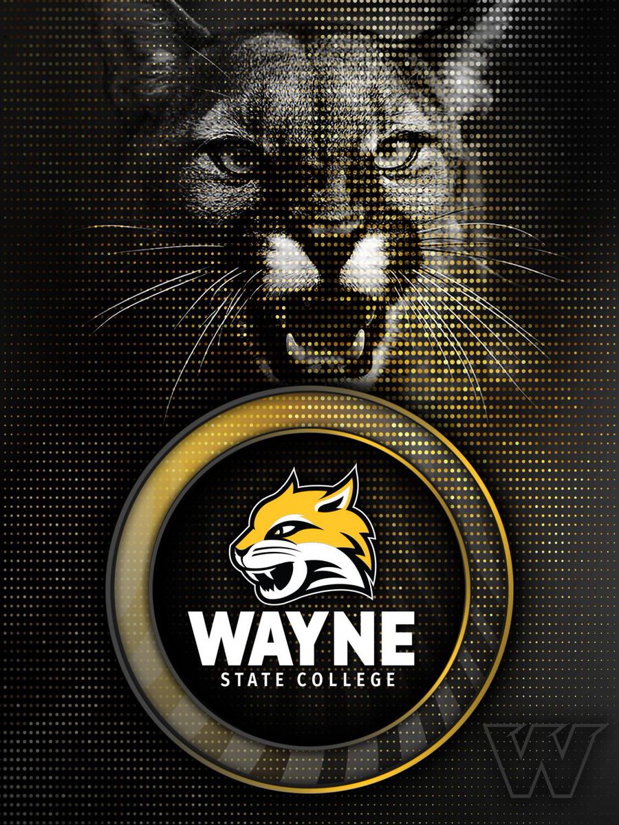 _CoachDbZo's tweet photo. Full circle moment for me I’m Blessed to announce that i will be accepting the G.A. CornerBacks Job at Wayne State College , coaching always been my dream help young men succeed and for it to be at the school i started my career at I’m grateful READY TO WORK🙏🏾 #AGTG 🖤🐯 #GOCATS https://t.co/s5nEBDIK7i