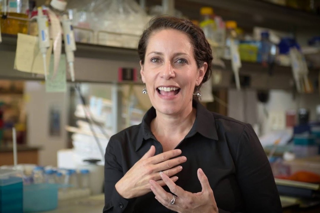 science_seattle's tweet photo. Welcome to the @AllenInstitute, Dr. Ananda Goldrath (@GoldrathLab)! ๐
Dr. Goldrath has been hired as the new Executive Vice President and is a leading expert in #ImmuneMemory.
Learn more: https://t.co/xcVinrFmod https://t.co/xMcDdXJdpe