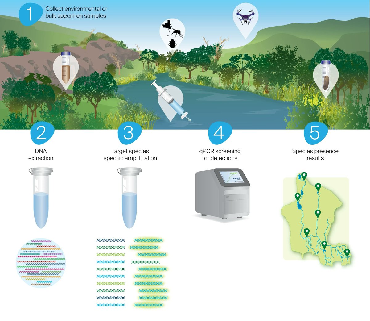🧬 We have updated our website.

Our team have developed target species tests for over 70 native and invasive species. Depending on your project, we can use an existing test or optimise a new one based on your species of interest.

See the updated list 👉  envirodna.com/our-services/t…