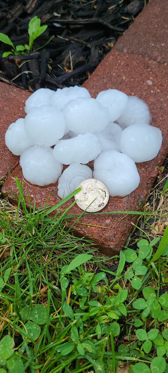 weaumaier's tweet photo. Quarter plus sized hail in Bruce, WI after 6pm. ๐ทcourtesy Kim Schueller #skywarn13 @NWSTwinCities https://t.co/my20NW8MVc