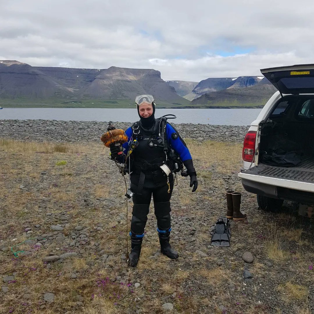 ml_valliant's tweet photo. #fieldwork has begun #westfjordsiceland @Haskoli_Islands @fish_iceland. #scubadiving 🧜🏼‍♀️to collect @Innovasea #acousticreceivers to offload juvenile G. morhua #movementdata from a full year and collect until summer 2024! We are excited. And to meet other fish of #Dýrafjörður 🐟🫧 https://t.co/9Fo1eIQSUI