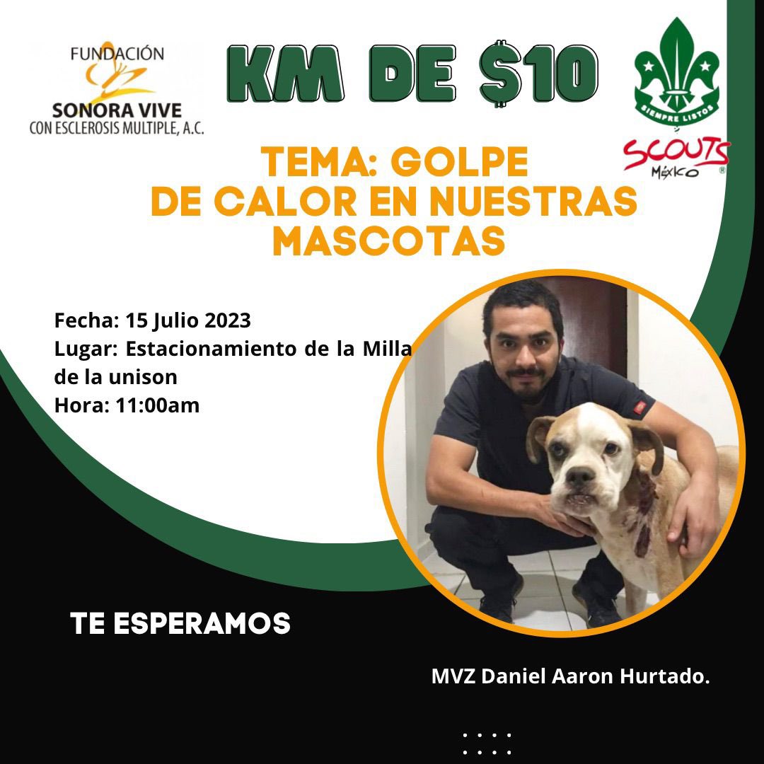 SonoraViveem's tweet photo. ¡Ya estamos listos, Acompáñanos a romper el Récord Guinness! 
Sábado 15 de julio desde las 6a.m. #Kmde10

Tendremos talleres muy interesantes, juegos Scouts por la mañana y por la tarde, venta de snacks y más.

¡No te lo pierdas! https://t.co/DDCteoUWUH