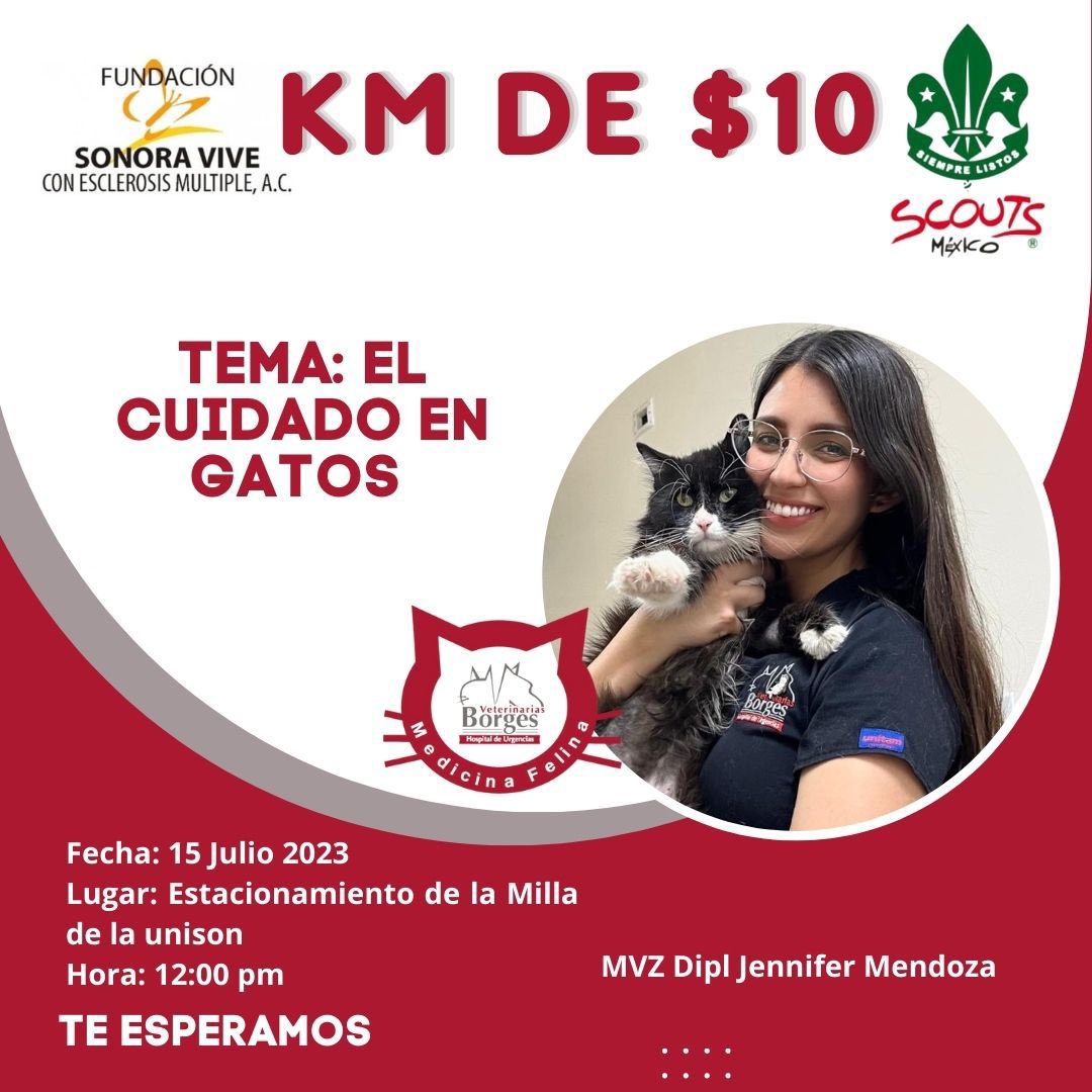 SonoraViveem's tweet photo. ¡Ya estamos listos, Acompáñanos a romper el Récord Guinness! 
Sábado 15 de julio desde las 6a.m. #Kmde10

Tendremos talleres muy interesantes, juegos Scouts por la mañana y por la tarde, venta de snacks y más.

¡No te lo pierdas! https://t.co/DDCteoUWUH