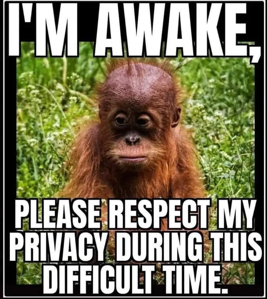 WOTWFallOut's tweet image. 