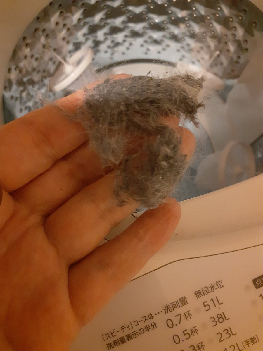 Ashirooo's tweet photo. 我が家の猫の毛対策。ダイソーの洗濯槽に引っ掛ける糸屑とりが大活躍！
5個付けてるけど取れる量がまーまーある💦写真は洗濯2回分(((・・;)
※1つに入ってる量
ちなみに一度は水のみで回して二回目に洗剤入れて回してます。
※水量は最大で！
色々と試したけどこれが一番かな
#ねこ
#猫の毛
#ダイソー https://t.co/ZhBMIH41br