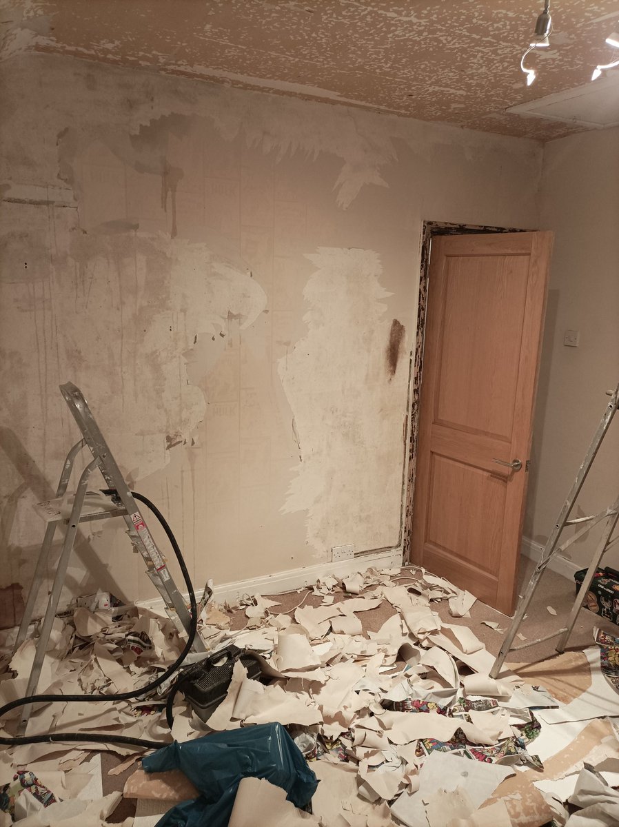 TomRolinson's tweet image. Father Rolinson off swanning about London Town and here I am doing #GrowedUp stuff