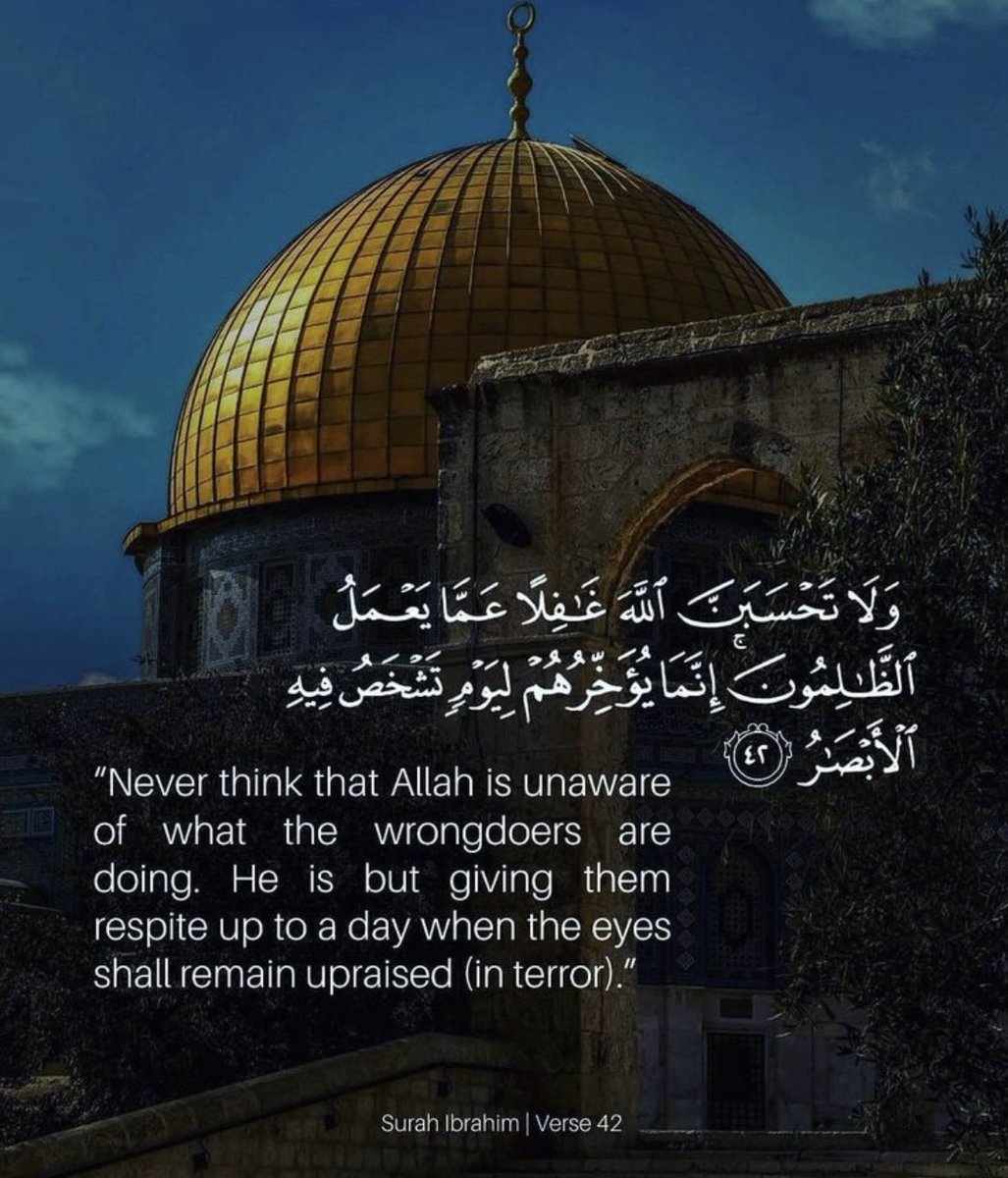 Telawah_kw's tweet photo. https://t.co/Sct09WJ8wH
