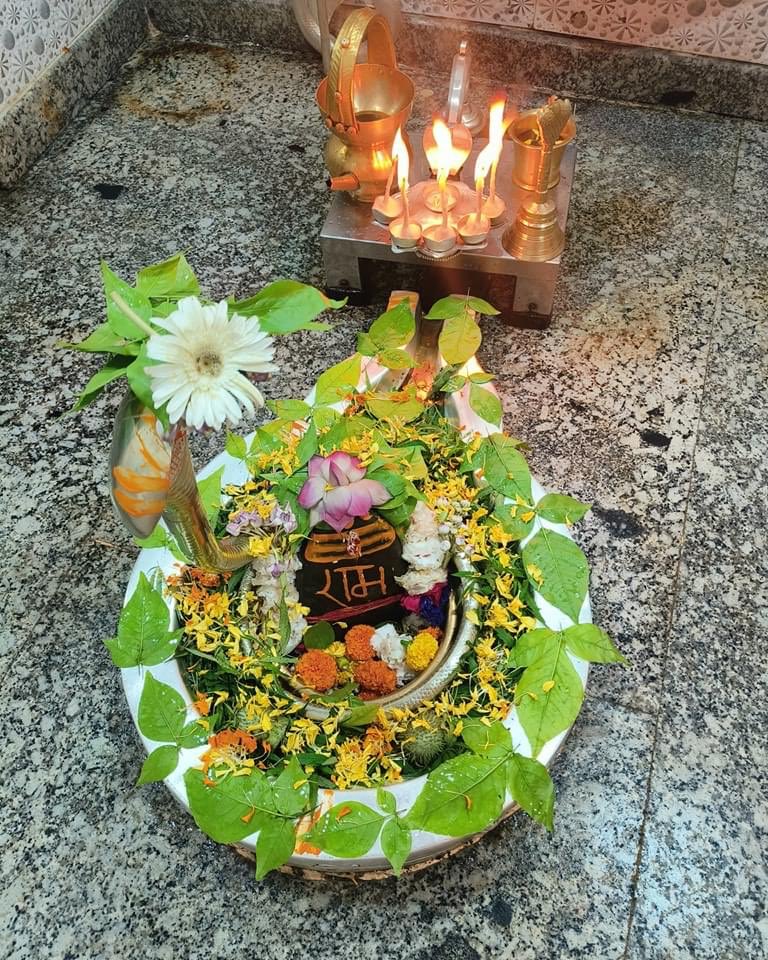 isomendratomar's tweet photo. Jai Neelkanth Mahadev https://t.co/OO26v1aOau