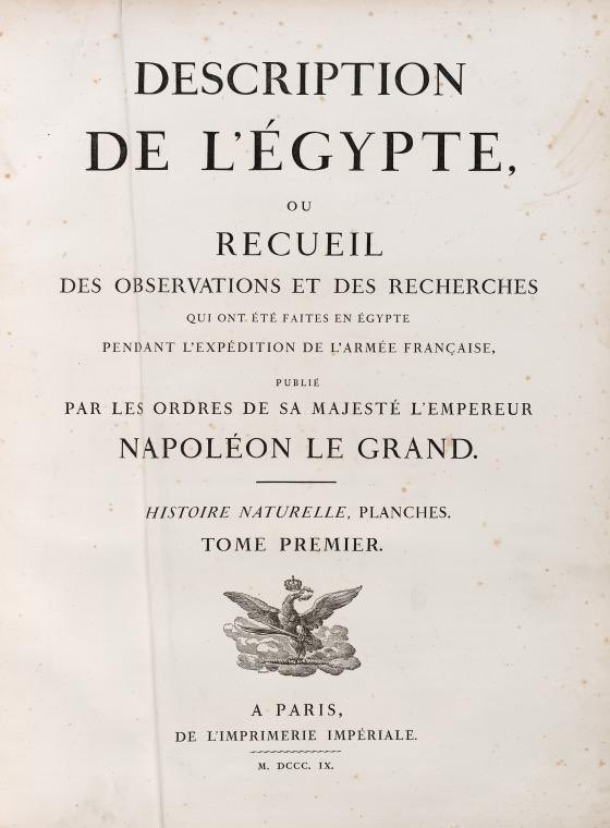 DotorEaon's tweet photo. Napoleon recognised the importance of the ruins and artefacts found in the Nile valley, so had around 160 scholars, and about 2000 artists accompany him. They would go on to produce the fantastic Description de l'Égypte. https://t.co/JPWihGRWnH