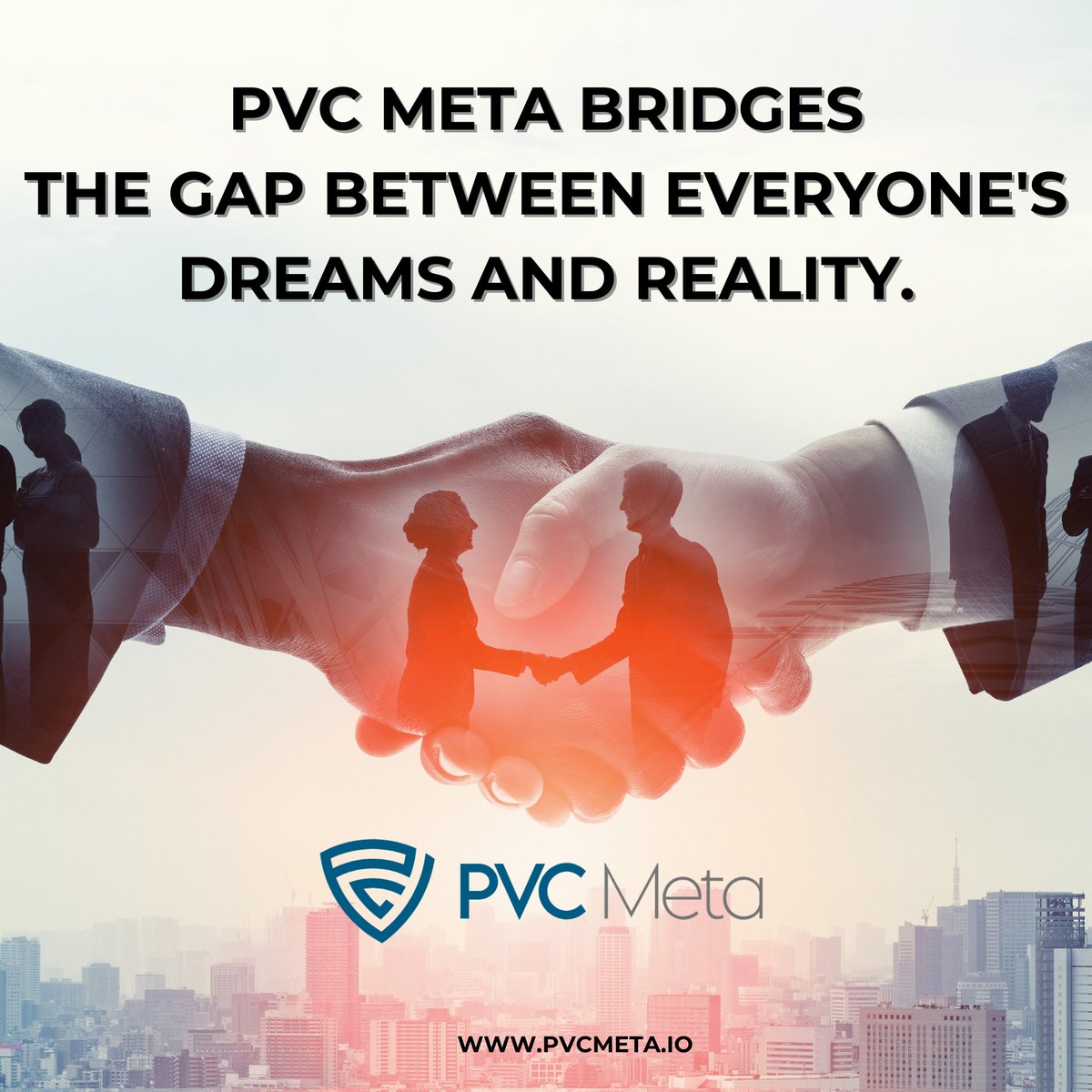 PVC Meta tweet media