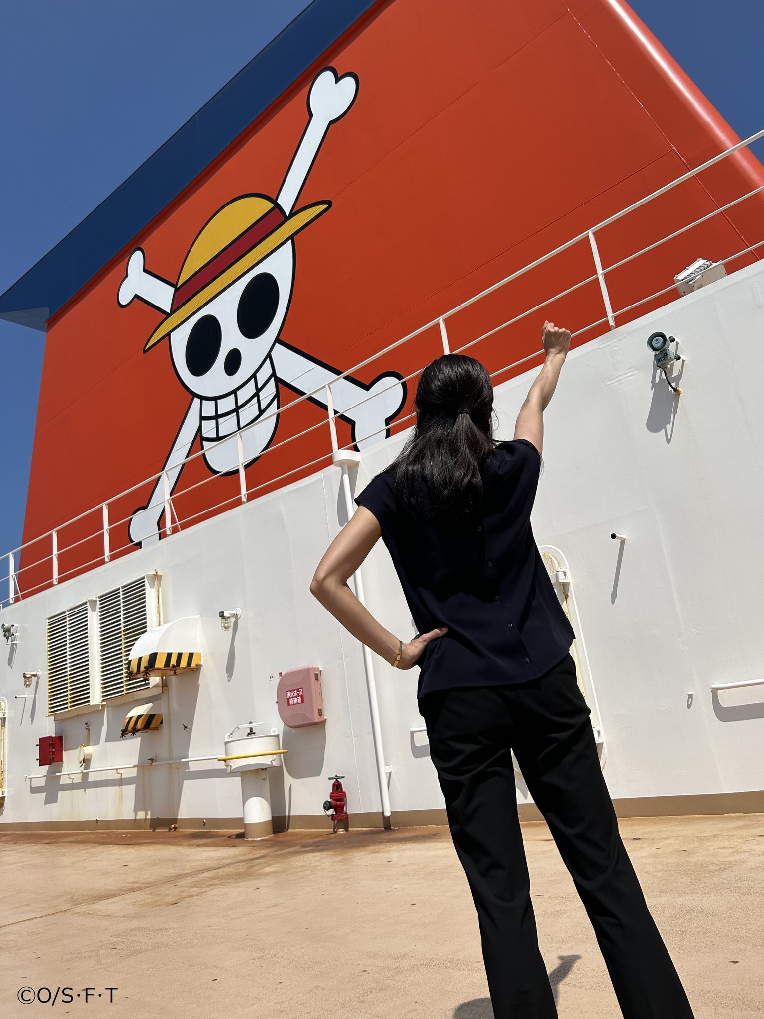 商船三井さんふらわあ(首都圏～北海道) on X: 