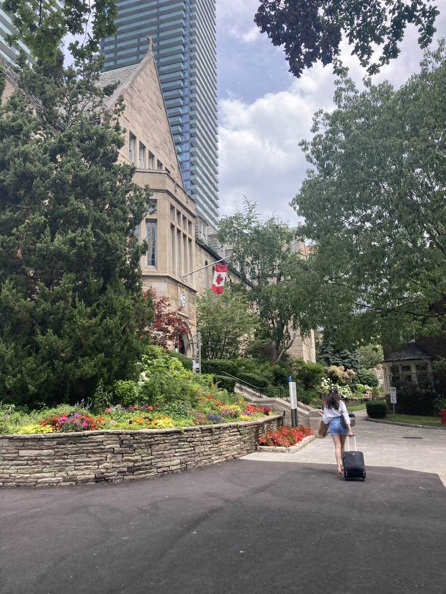 Dr. Caitlín Rankin-McCabe (also 🦋) tweet media