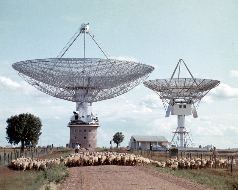 CSIRO_ATNF's tweet photo. #ATNFflashbackFriday Sheep were used and still are at #Parkes Observatory on Wiradjuri Country to keep the grass at bay. This image is from 1963, and features #Parkes radio telescope, #Murriyang. https://t.co/wQ5KJzHcqq https://t.co/KcusNwgnpW