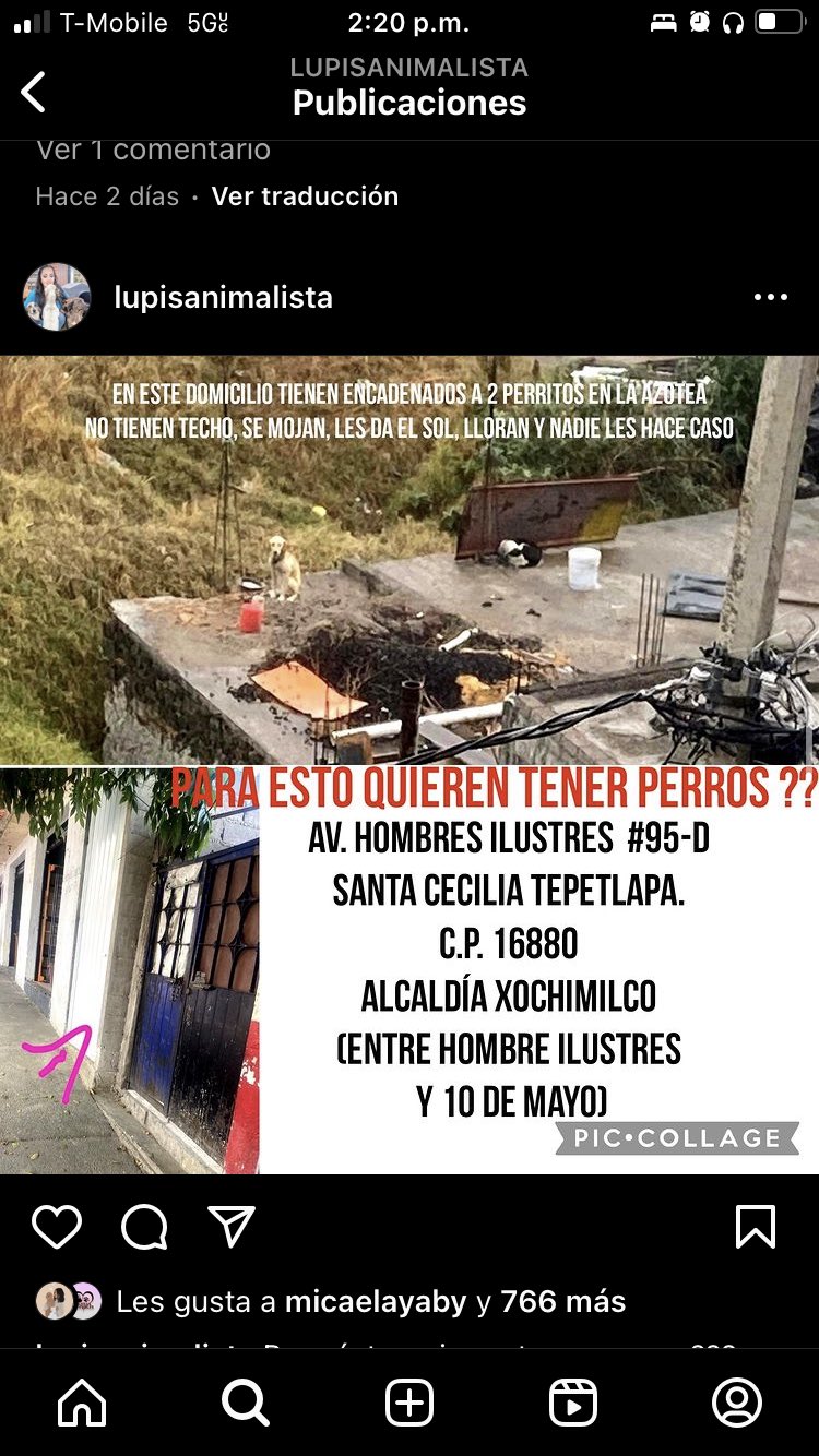 Astrid Cuevas on Twitter: “@FundacionToby Hola alguien sabe algo de