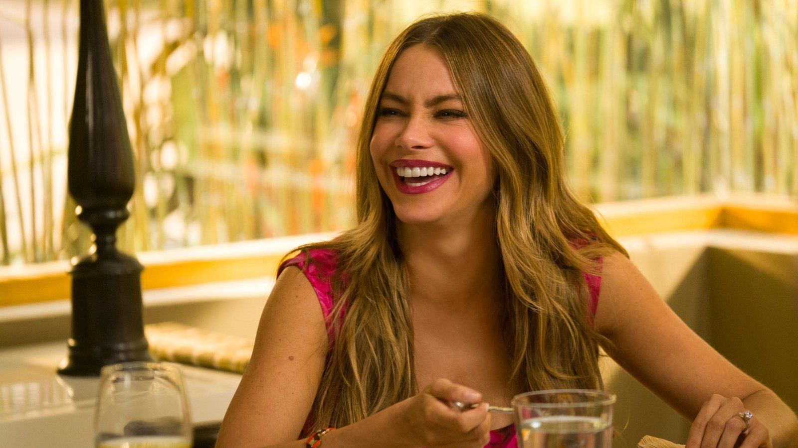 Happy 51st birthday to Sofia Vergara! 