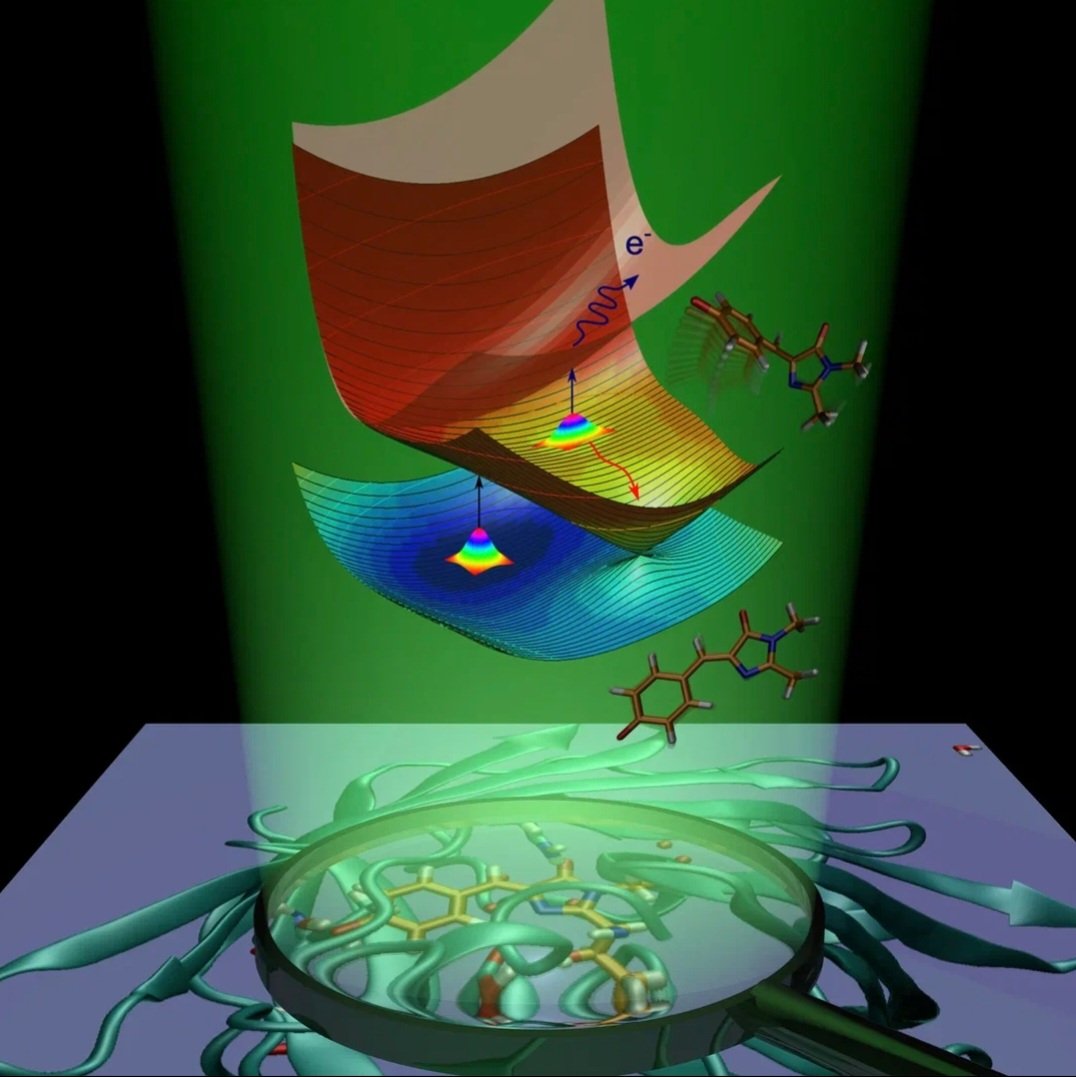QPD_Lab (@qpd_lab) on Twitter photo Excited to share our paper on disclosing the wavelength-dependent interplay between nuclei and electrons in the photoresponse of cold GFP chromophore anions doi.org/10.1021/acs.jp… just published in <a href="/JPhysChem/">The Journal of Physical Chemistry</a> Letters! A great collaboration with <a href="/AarhusUni/">Aarhus Universitet</a>. <a href="/FireflyQuantum/">Firefly Quantum Chemistry Software</a> Excited to share our paper on disclosing the wavelength-dependent interplay between nuclei and electrons in the photoresponse of cold GFP chromophore anions doi.org/10.1021/acs.jp… just published in <a href="/JPhysChem/">The Journal of Physical Chemistry</a> Letters! A great collaboration with <a href="/AarhusUni/">Aarhus Universitet</a>. <a href="/FireflyQuantum/">Firefly Quantum Chemistry Software</a>