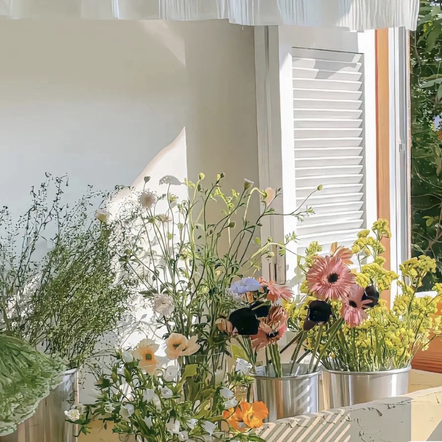 ToLifefresh's tweet photo. ☘A good day begins with the sight of sunshine！HAPPY TUESDy! 📷 📷#tolife #airpurifier #airpurificationsystem #greenlife #lifestylebloggerstyle #freshair #healthandwellness #environmentalfriendly #healthandwellness #cleanbeauty #Morning #flower #Sun https://t.co/ORYcKX4I2K
