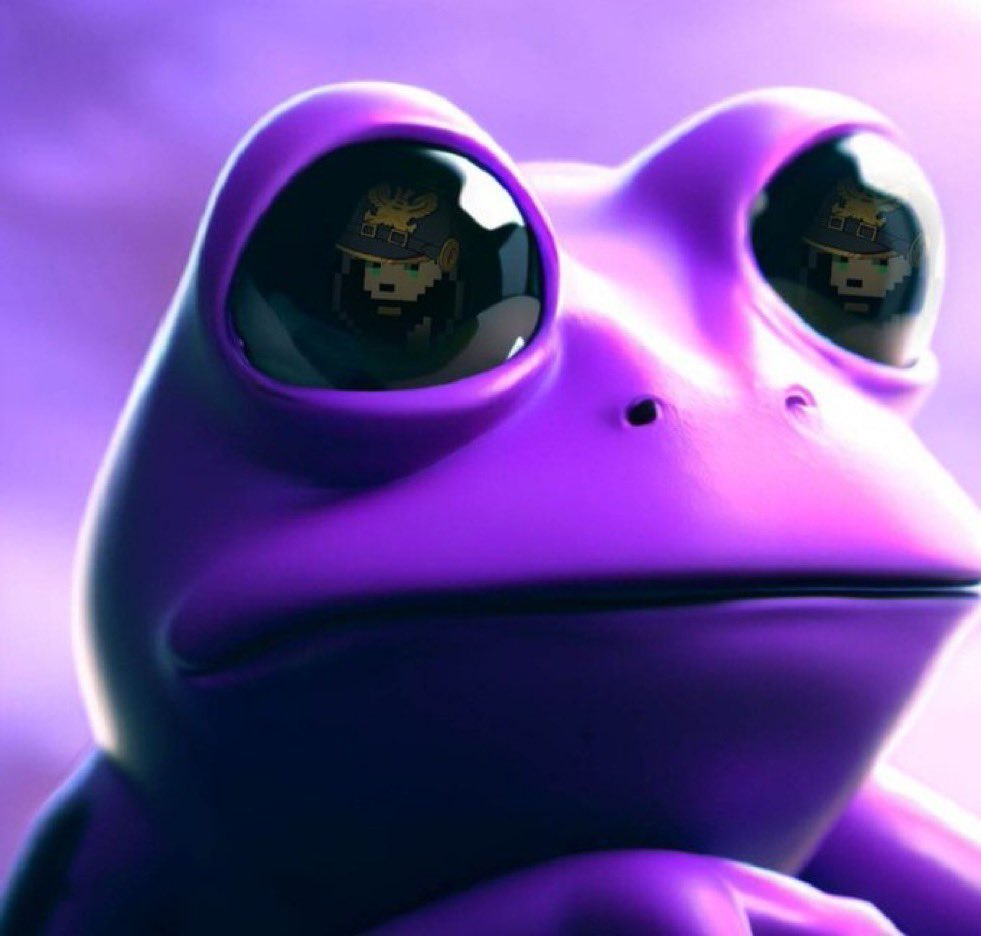 这青蛙是挺好看