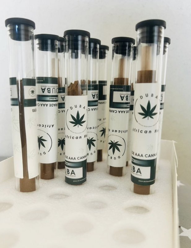 REVMED CANNABIS (MARIJUANA)
helps with general pain, cancer pain, nerve pain, migraines, fibromyalgia, epilepsy/seizures, anti-nausea

check out out revmedstore.com🥵💯

#snow coldfront #FNBae ItsEskort hungrylionturns26 Albany Stage 4 Nelisa Khosi Themba Izzy Jozi Block