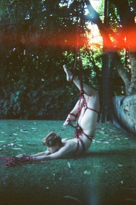 3 pic. ? my first partial suspension ☺️

iPhone/35mm Kodak on Pentax k1000/ 35mm Cinestill shot on a
