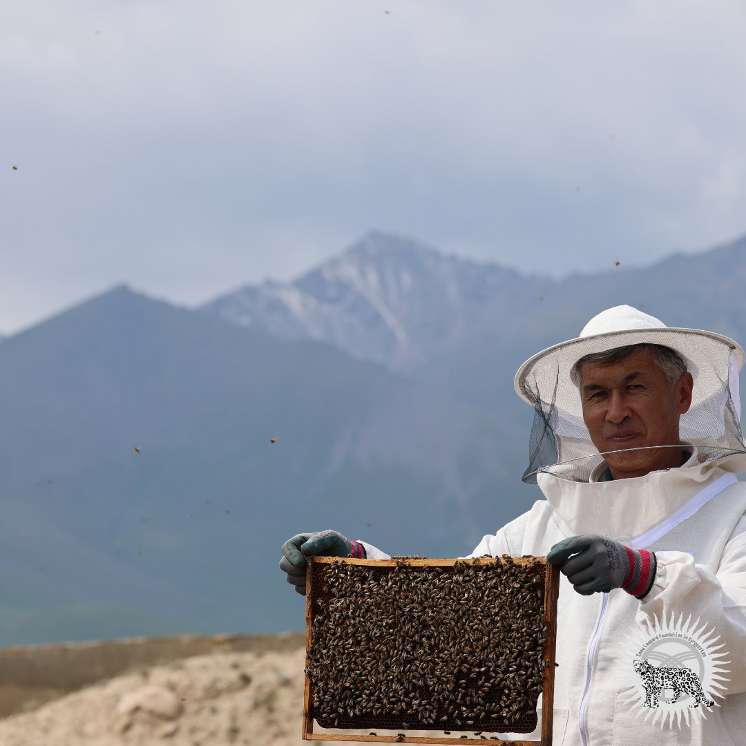 snowleopardkg's tweet photo. We decided to support one of the first public #microreserves in #Kyrgyzstan, #Baiboosun. We have purchased 50 beehives, which will become an additional source of income for the #rangers. 40% of the income from #beekeeping will finance #conservation activities. https://t.co/go1J8M6KdU