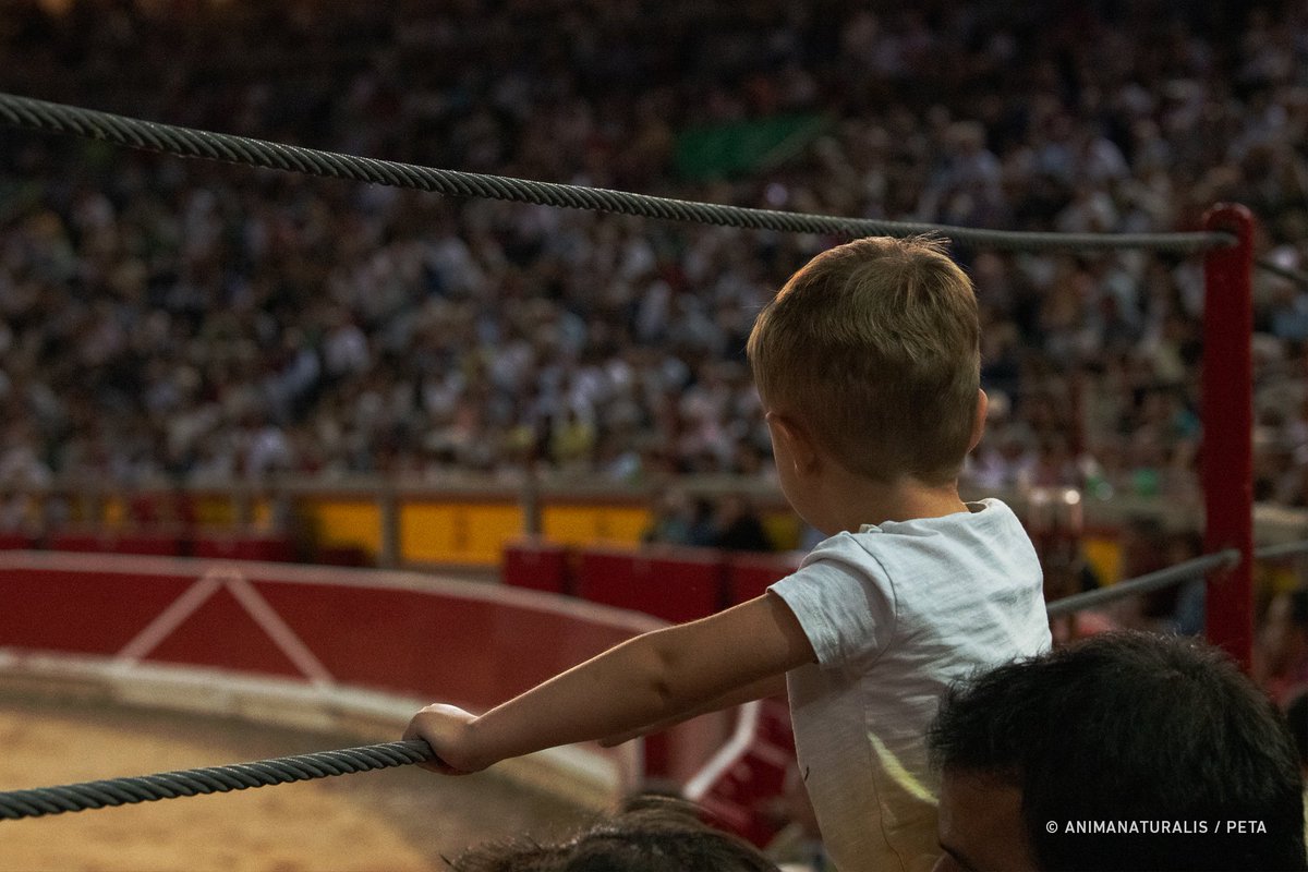 AnimaNaturalis's tweet photo. 🔴 6 animales más hostigados y dirigidos hasta la plaza de toros de Pamplona, donde les darán muerte tras una suerte de sádicas y cruentas torturas ejecutadas entre varios hombres.

Menores lo presenciarán. #Encierro5RTVE

📸 Primera novillada de San Fermín, 6 de julio de 2023. https://t.co/NvbIHzHL9b
