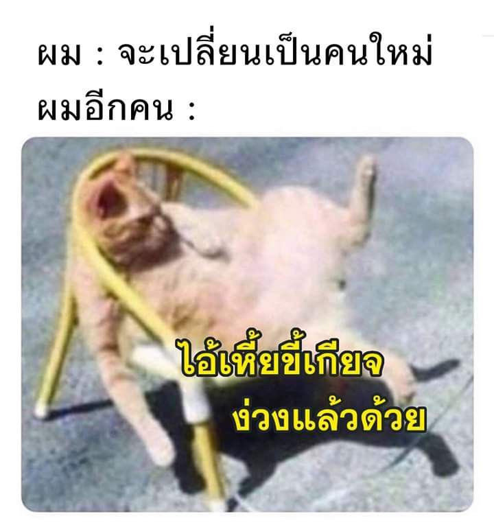 กูเป็นแบบนี้เลย 5555555555555555555