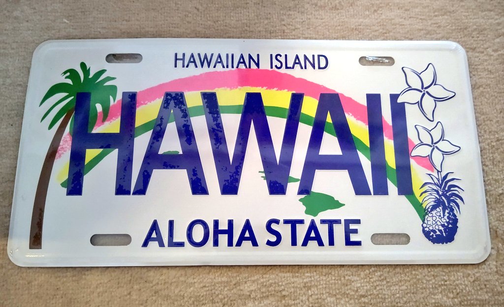 おうちハワイだったらしあわせだなぁとおもって、ハワイプレートを購入するなどした。
どこに飾ればいいんだコレ…(無計画に買うな)