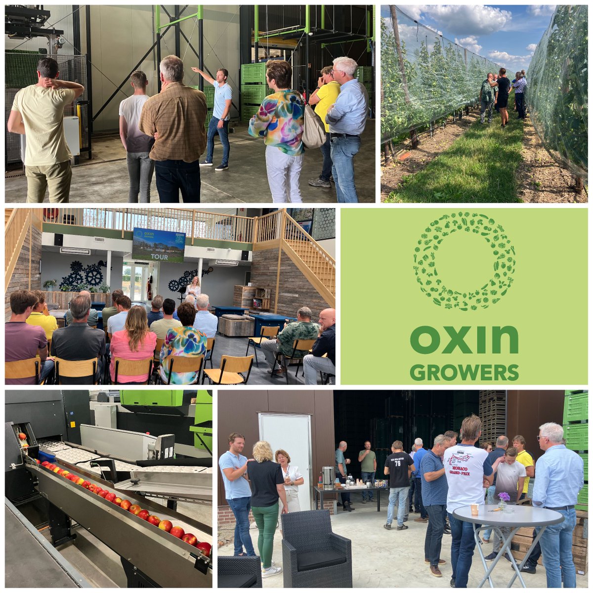 Oxin Growers tweet media