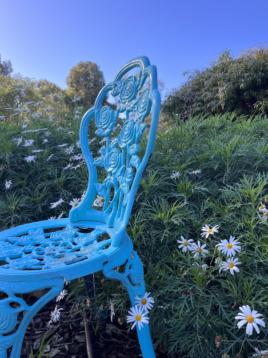 Those winter blues still alive with colour ☀️☀️☀️ this chair with a cracked leg was saved from landfill and still has a spot in our garden. Would you have saved it? #savedfromlandfill #chairs #garden #wintervibes #daisy #daisies #blue #bluechair #reuse #flowers