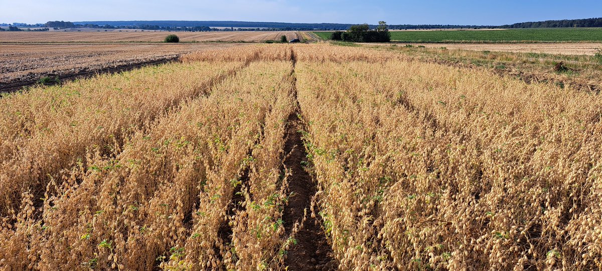 Matz Petersen tweet media