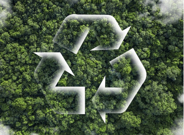 Cécile Gauffriau #BCircular♻️ tweet media