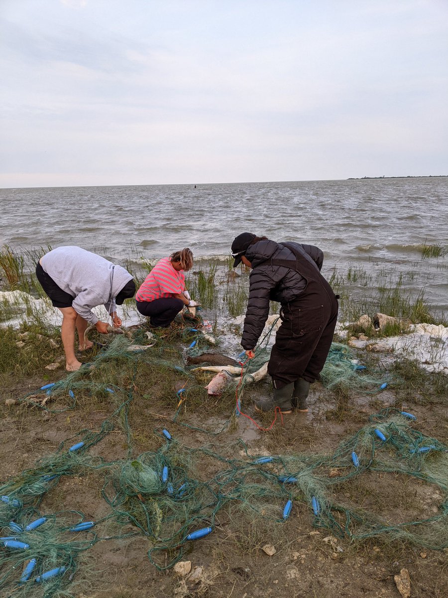 tracieleost's tweet photo. An incredible weekend on the land with michif kin in St.Laurent. It is powerful to see and be amongst young people grounding ourselves in our knowledge and traditions. 

Maarsii James Lavallée for getting us together &amp; @CdnRoots Youth Empowerment Grant for making this possible. https://t.co/cH0V3N7sfV