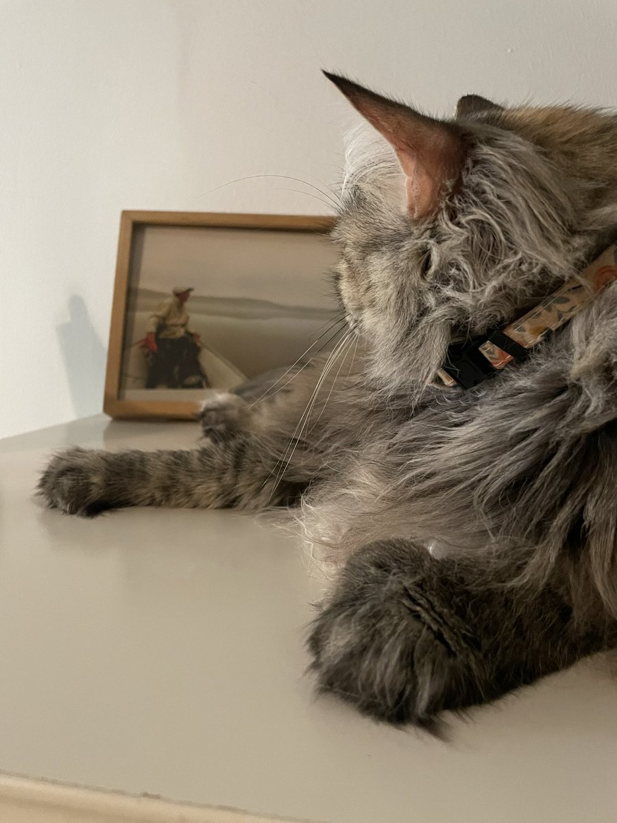 charmedComm's tweet image. I could name this picture July 10th.
4 years ago, my dad won his wings 
3 years ago, baby Clo was born.  

#MissYouDaddy