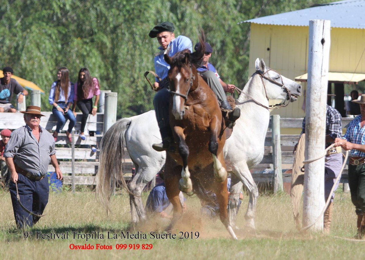 TellMeTiTo's tweet image. 