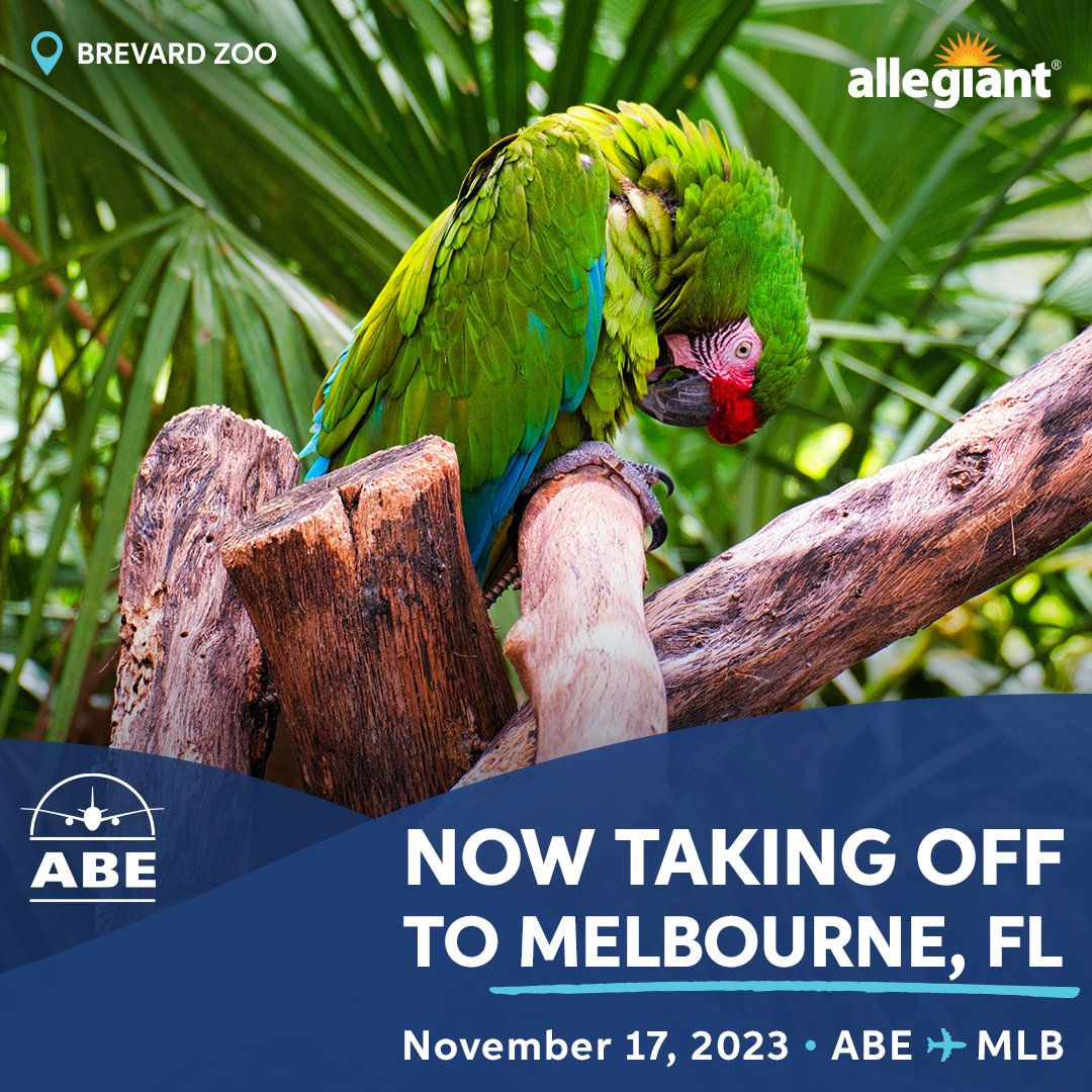 ABE Airport tweet media