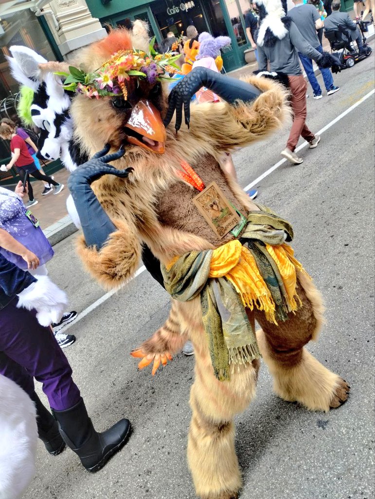 I wore Tierney for a grand total of mayyyybe 5hrs all Anthrocon, but please let me know if you got any pics of this gryphon!

📸KipsoftheMud