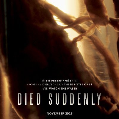 Died Suddenly tweet media