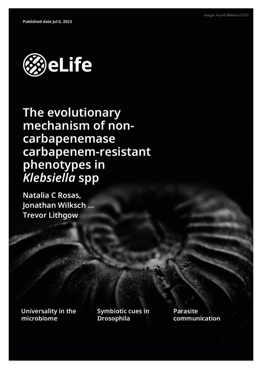 Natalia C. Rosas PhD (@nataliacrosasb) on Twitter photo π§΅1/5 I'm delighted to share our latest work published on <a href="/eLife/">eLife - the journal</a> A collaborative effort that lasted almost 4 years in the making and contributes to addressing one of the biggest threats in the clinical setting #AMR <a href="/CentreImpactAMR/">Centre to Impact AMR</a>
<a href="/LithgowLab/">LithgowLab</a> <a href="/MonashBDI/">Monash Biomedicine Discovery Institute</a>
doi.org/10.7554/eLife.β¦ π§΅1/5 I'm delighted to share our latest work published on <a href="/eLife/">eLife - the journal</a> A collaborative effort that lasted almost 4 years in the making and contributes to addressing one of the biggest threats in the clinical setting #AMR <a href="/CentreImpactAMR/">Centre to Impact AMR</a>
<a href="/LithgowLab/">LithgowLab</a> <a href="/MonashBDI/">Monash Biomedicine Discovery Institute</a>
doi.org/10.7554/eLife.β¦