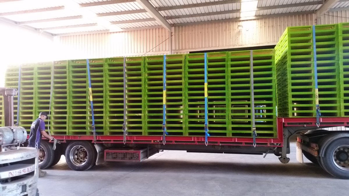 Discover our wide range of top-quality pallets! From standard-sized to custom designs, K&amp;S Pallets delivers reliable support for your goods. Our sustainable sourcing and automated manufacturing ensure consistent quality.

Call us on 1800 360 039 to order.
#KSPallets