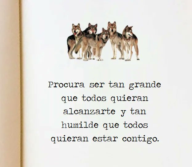 Paulo Coelho Español (@paulocoelhodice) on Twitter photo 