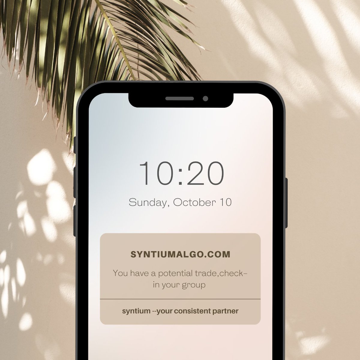 syntiumalgo's tweet image. Syntium Algo: Empowering traders with real-time market intelligence! 📈 #MarketIntelligence #TradingEmpowerment #SyntiumAlgo #RealTimeData #AlgorithmicInsights