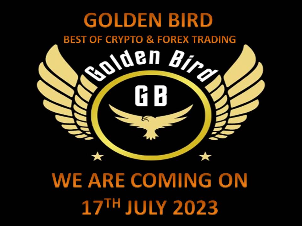GoldenBird95655's tweet photo. We are ready to launch...are you ready? https://t.co/gbVwkXMB4U