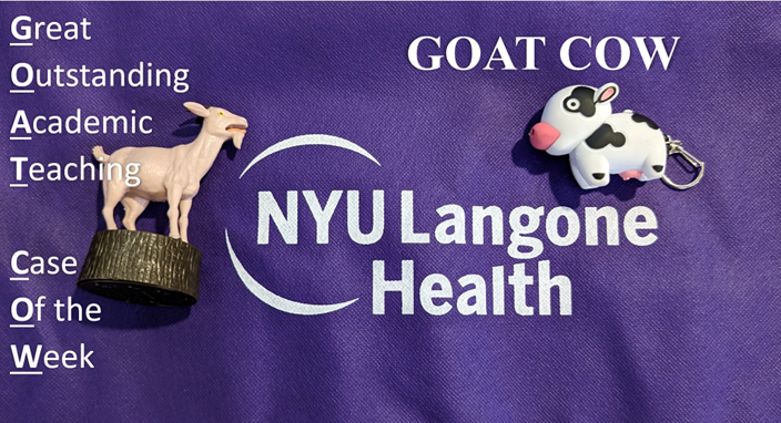 NYU Long Island Emergency Medicine (@nyuhospli_em) on Twitter photo It's 8:30AM on a TUESDAY & that means it's time for ๐๐ฎ!
What on Earth is that you say? Check it out ๐
@AmilBadoolah hosts this #morningreport style series with interesting cases we see right here at <a href="/NYULangoneLI/">NYU Langone HospitalโLong Island</a>.
Just another reason to train with us #MedStudentTwitter! It's 8:30AM on a TUESDAY & that means it's time for ๐๐ฎ!
What on Earth is that you say? Check it out ๐
@AmilBadoolah hosts this #morningreport style series with interesting cases we see right here at <a href="/NYULangoneLI/">NYU Langone HospitalโLong Island</a>.
Just another reason to train with us #MedStudentTwitter!