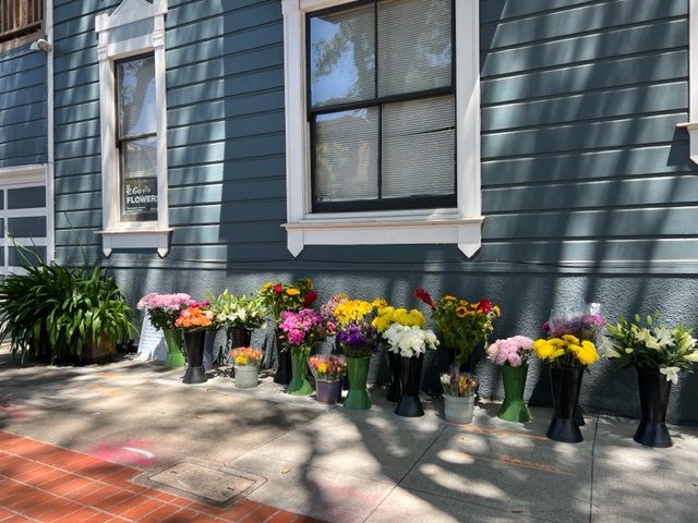 FulfordMarshall's tweet image. One of the highlights of the Duboce Park neighborhood:

Guy's Flowers is a fun place to stop at the corner of Noe Street and 15th Street. Guy will be there with beautiful flowers all around ready to brighten your day!

#compassrealtor #fulfordmarshallgroup #lifestyle #dubocepark