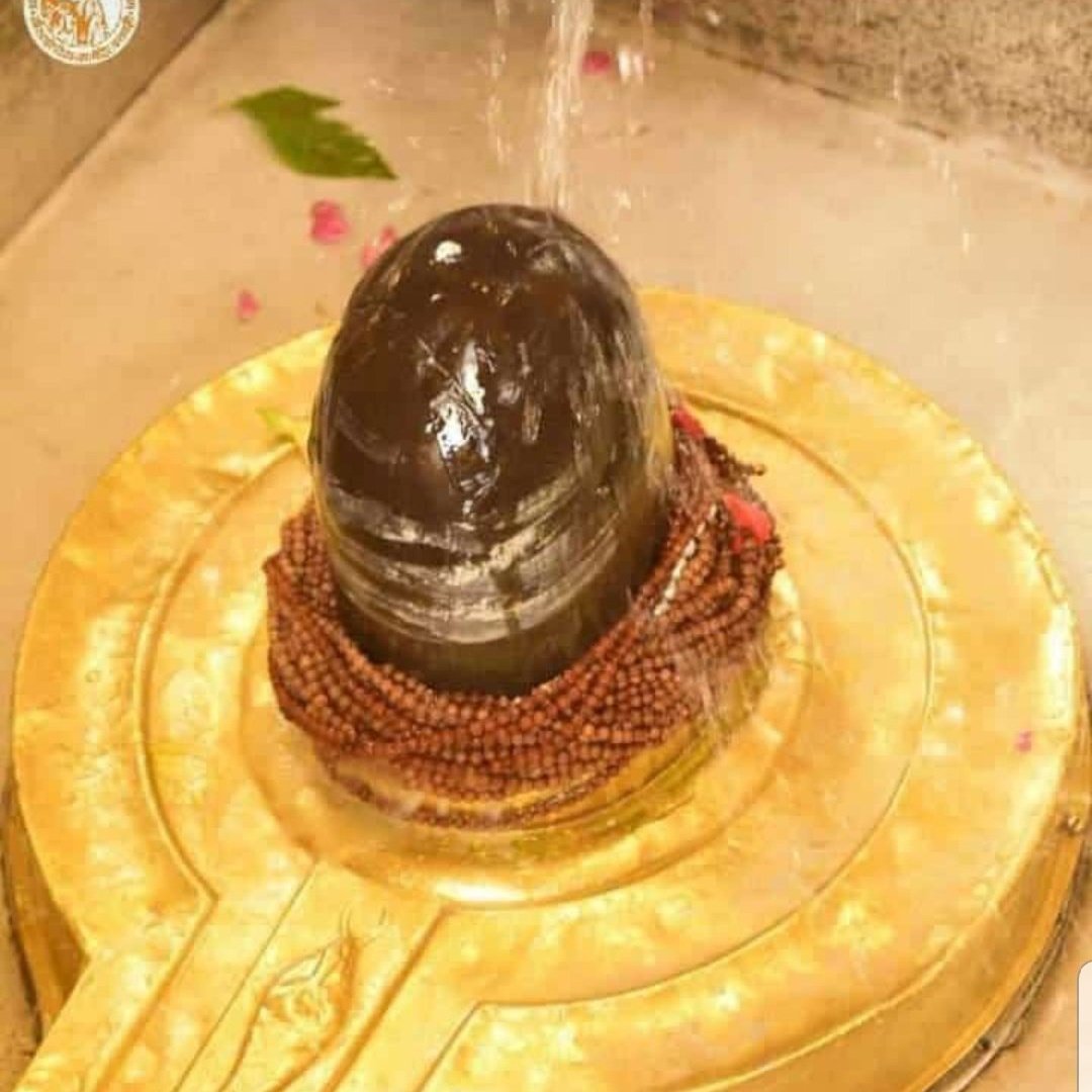 rais70645's tweet photo. #ॐ_गुरुवे_नमः🌹👏🚩
#ॐ_नमः_शिवायः 🔱👏🚩
#ॐ_शिवाय_नमस्तुभ्यम् 🔱👏🚩
#शुभोदयम्_सनातन_परिवार 🌹👏 https://t.co/rOEXI9Xgb5